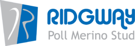 Ridgway Poll Merino Stud