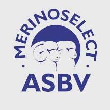 Merino Select ASBV